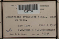 Image Associated With the Occurence